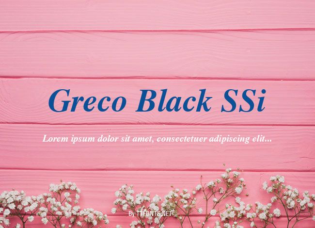 Greco Black SSi example